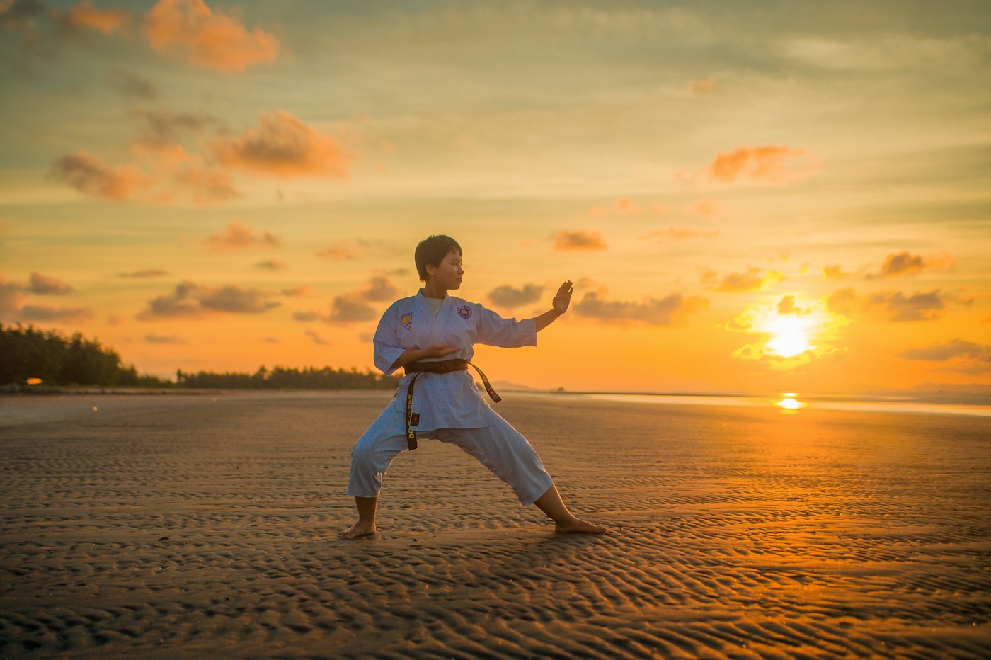 Dojo de Karat&eacute;